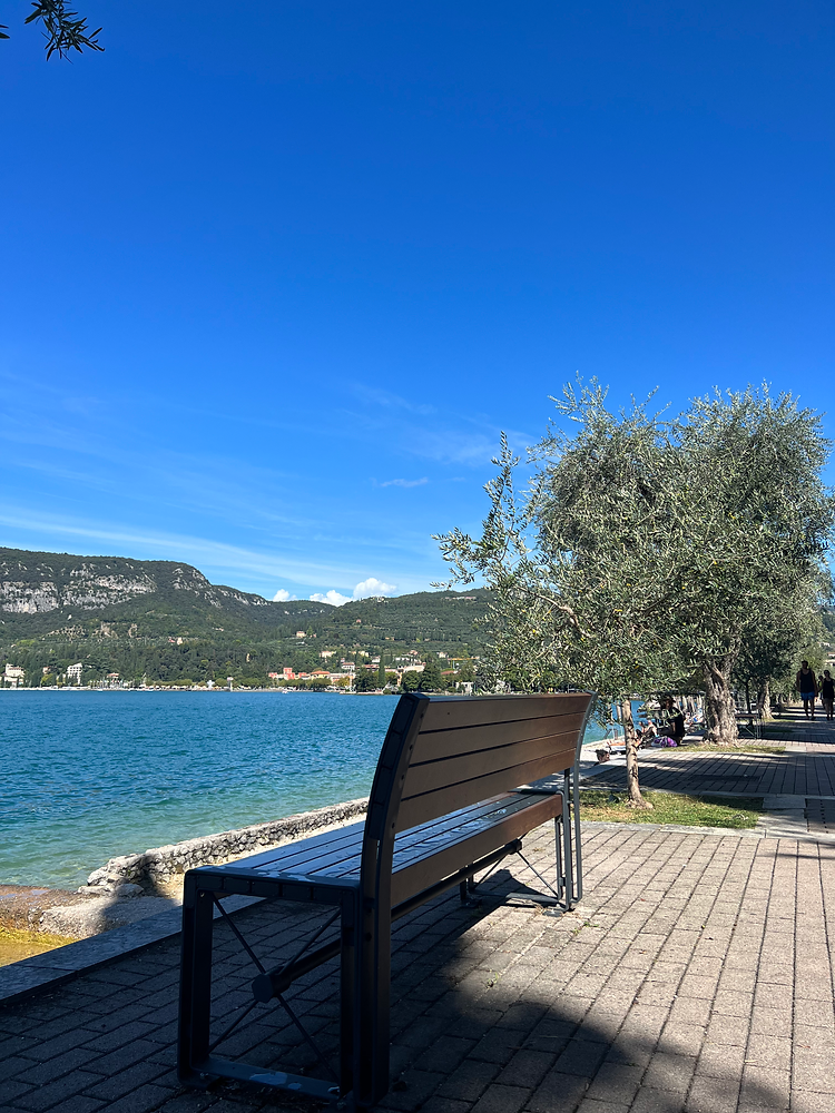 BEST RESTAURANTS IN BARDOLINO 958583 Bfebc809745548429ceabab09a8ba7bdmv2