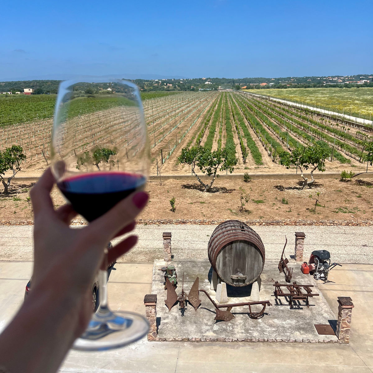 ALGARVE ITINERARY wine tasting