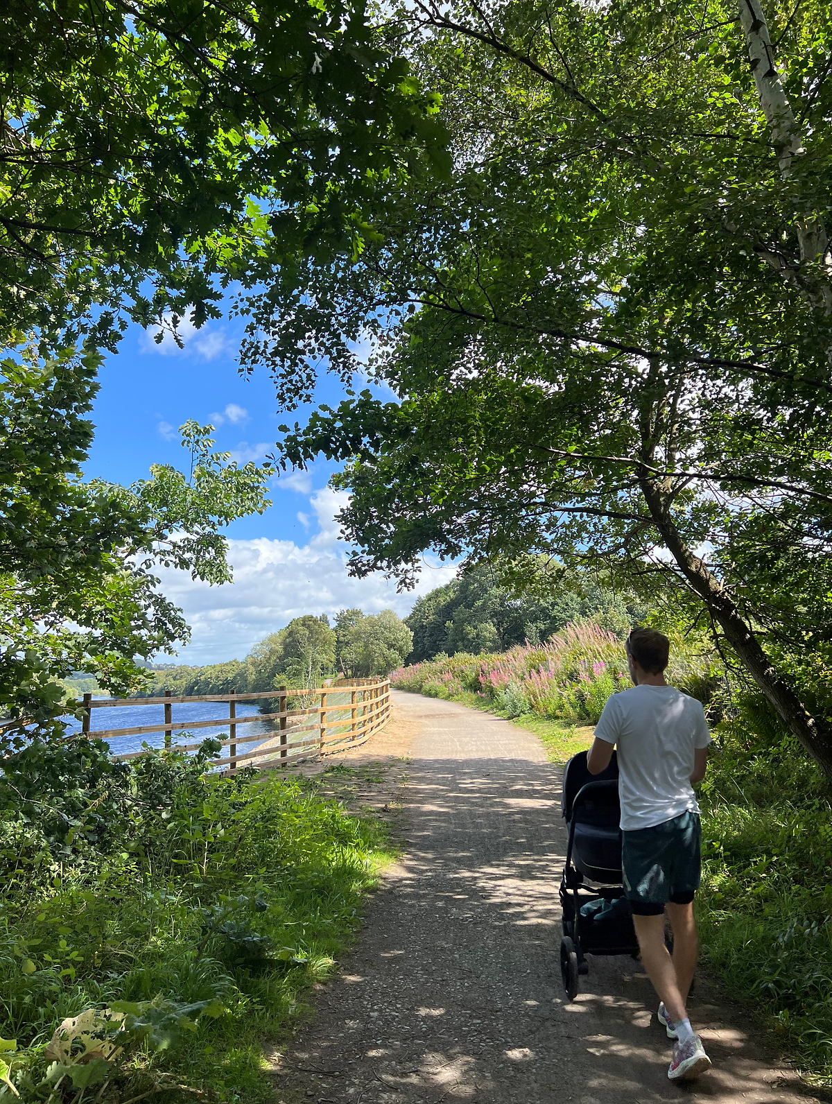 3 PRAM-FRIENDLY WALKS IN NORTHUMBERLAND man with pram in woodland