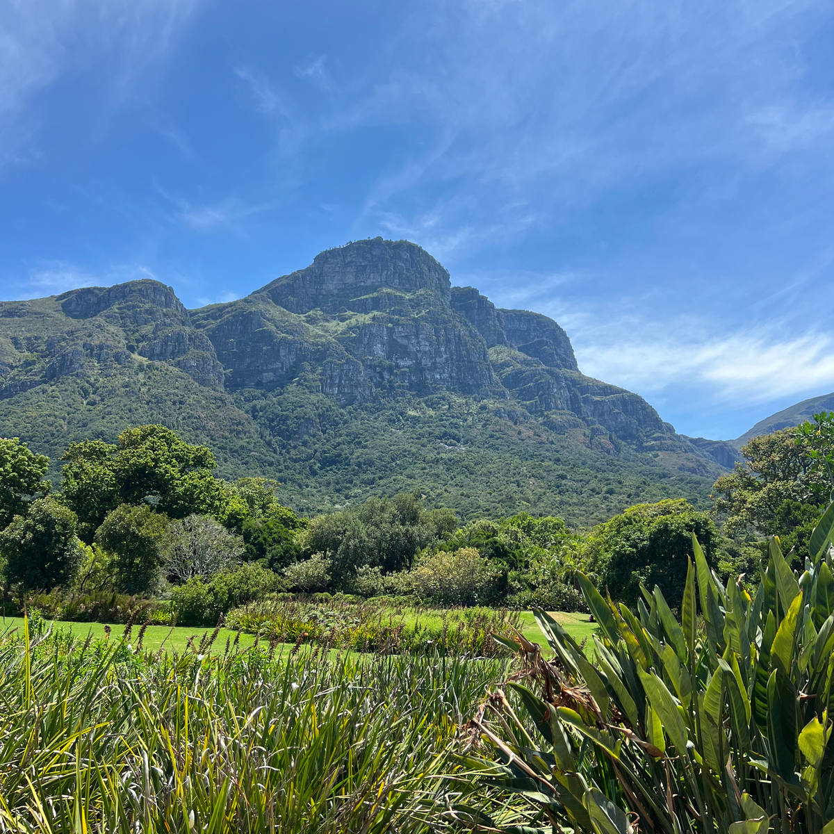 CAPE TOWN AND GARDEN ROUTE ITINERARY Kirstenbosch gardens