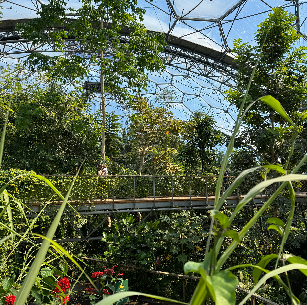 5 DAYS IN CORNWALL eden project indoor rainforest