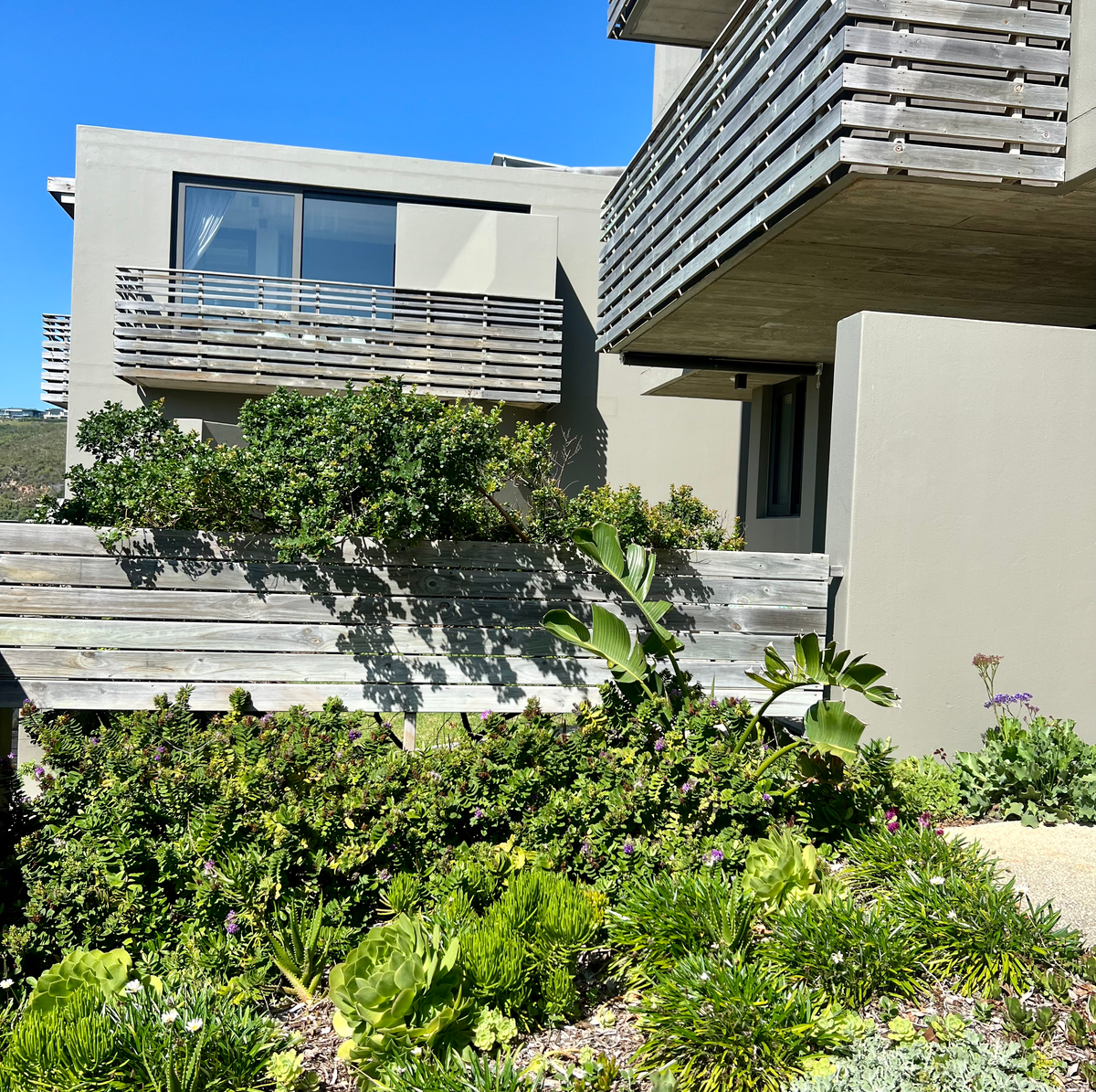 greenery and house