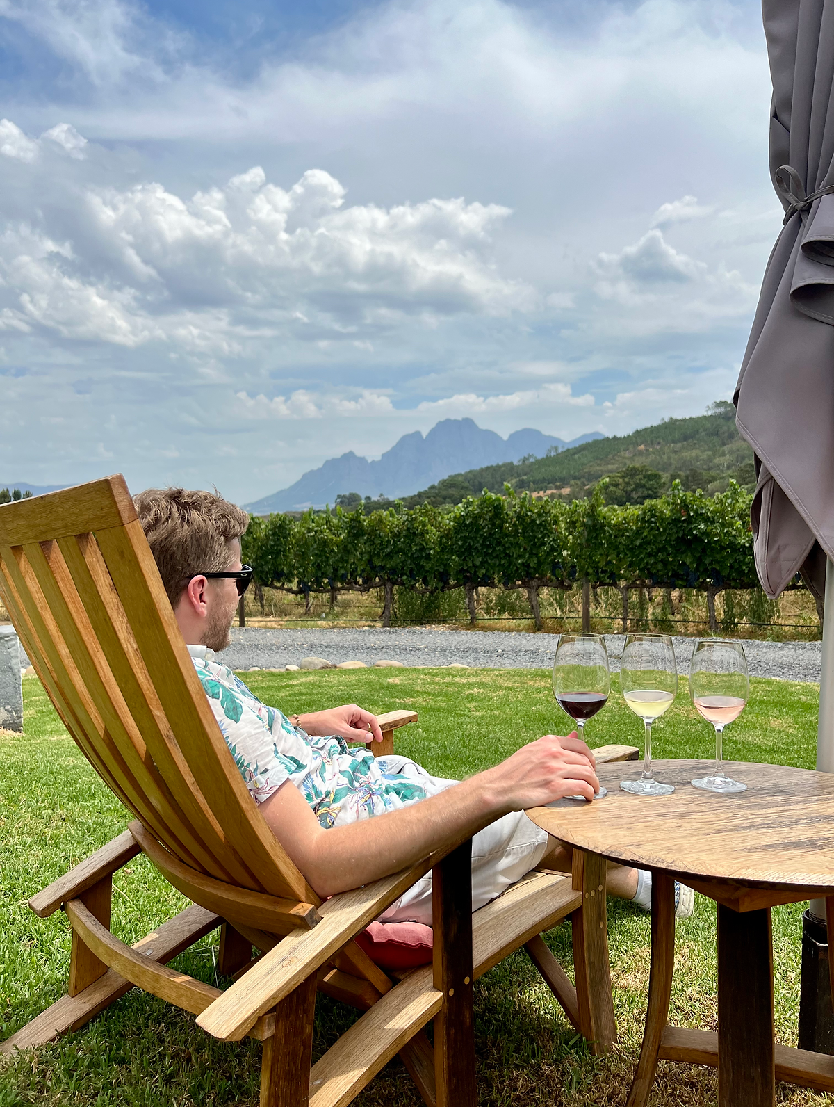 WHAT YOU NEED TO KNOW ABOUT THE FRANSCHHOEK WINE TRAM Man drinking wine overlooking vineyard