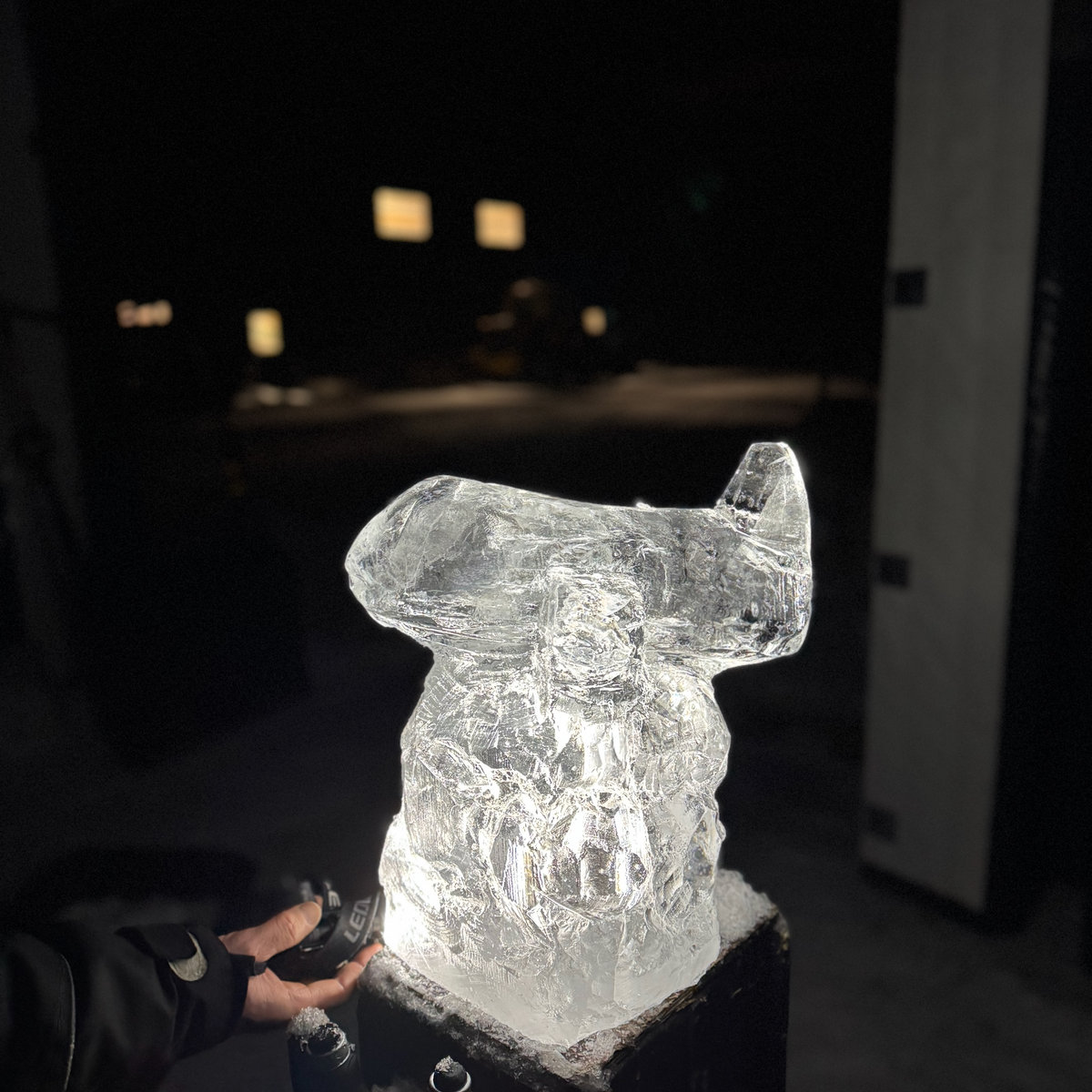 Aeroplane ice sculpture