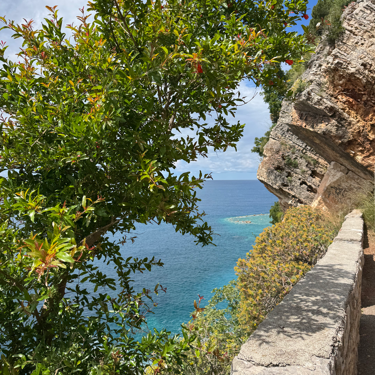 Petrovac