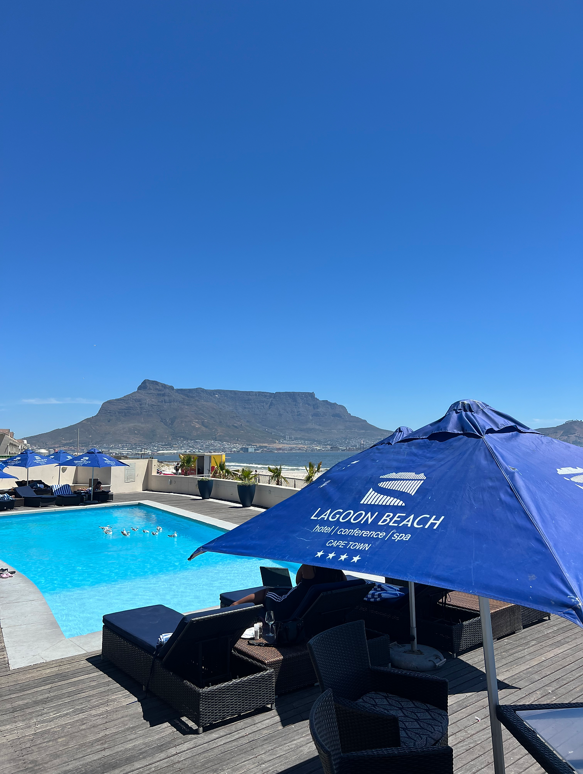 CAPE TOWN AND GARDEN ROUTE ITINERARY Hotel pool and mountain view
