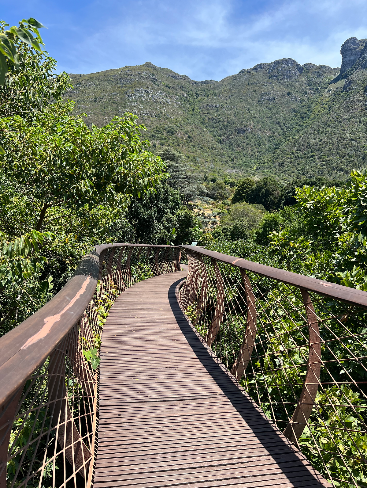 BEST THINGS TO DO IN CAPE TOWN gardens and walkway