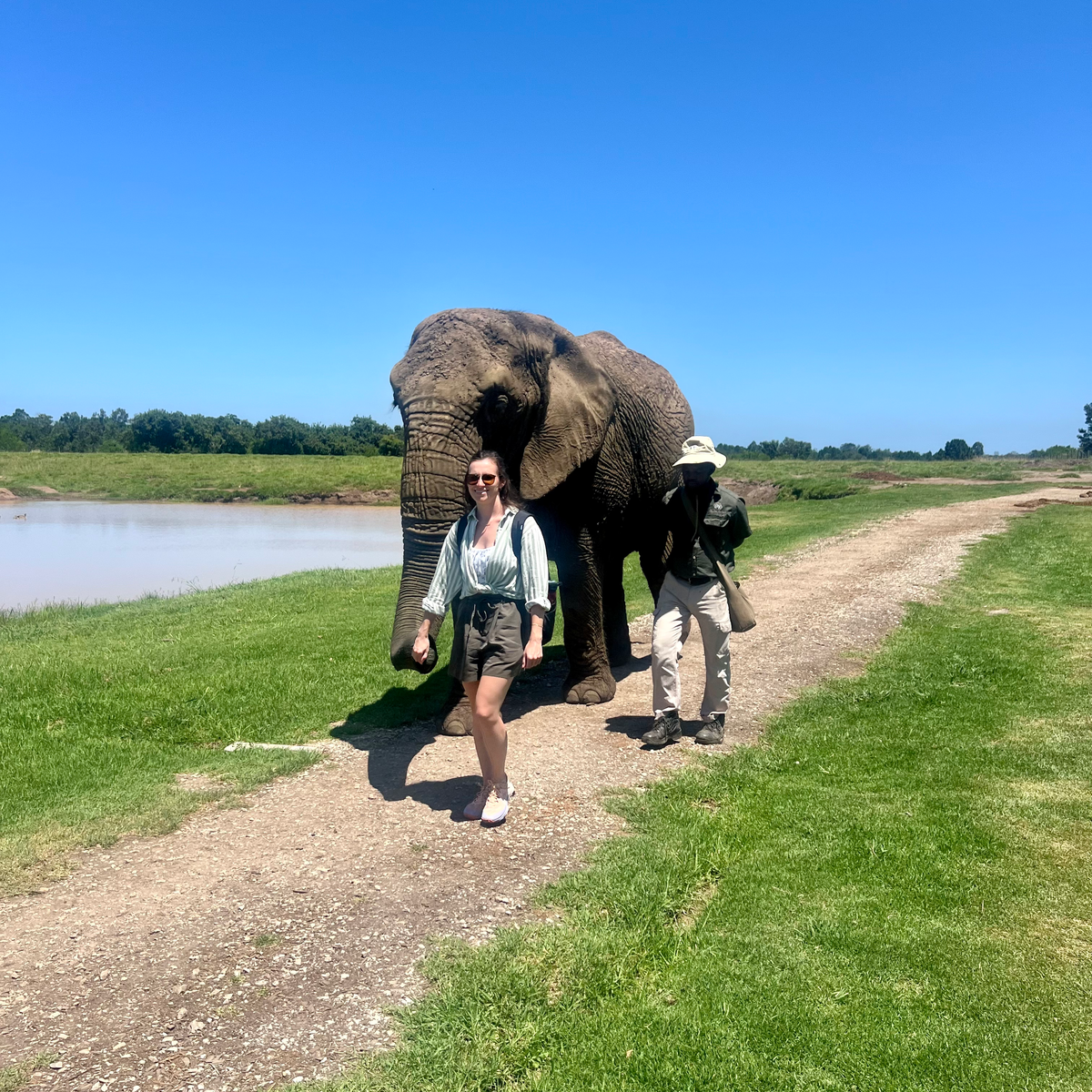elephant sanctuary