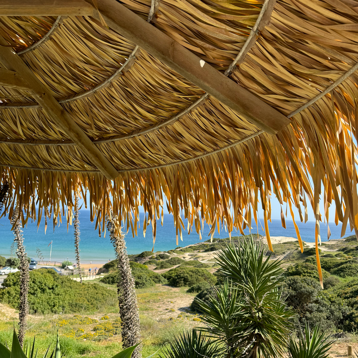 SAGRES, ALGARVE - WHAT TO DO AND WHERE TO EAT Canopy