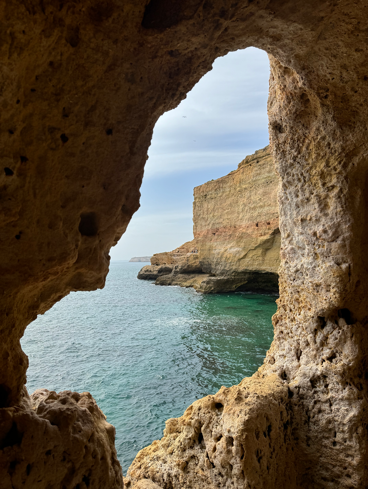 Algar seco