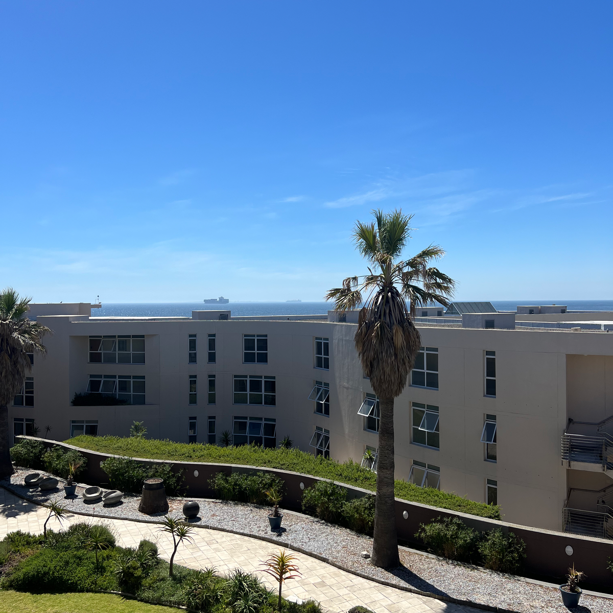 BEST THINGS TO DO IN CAPE TOWN room view with palm trees