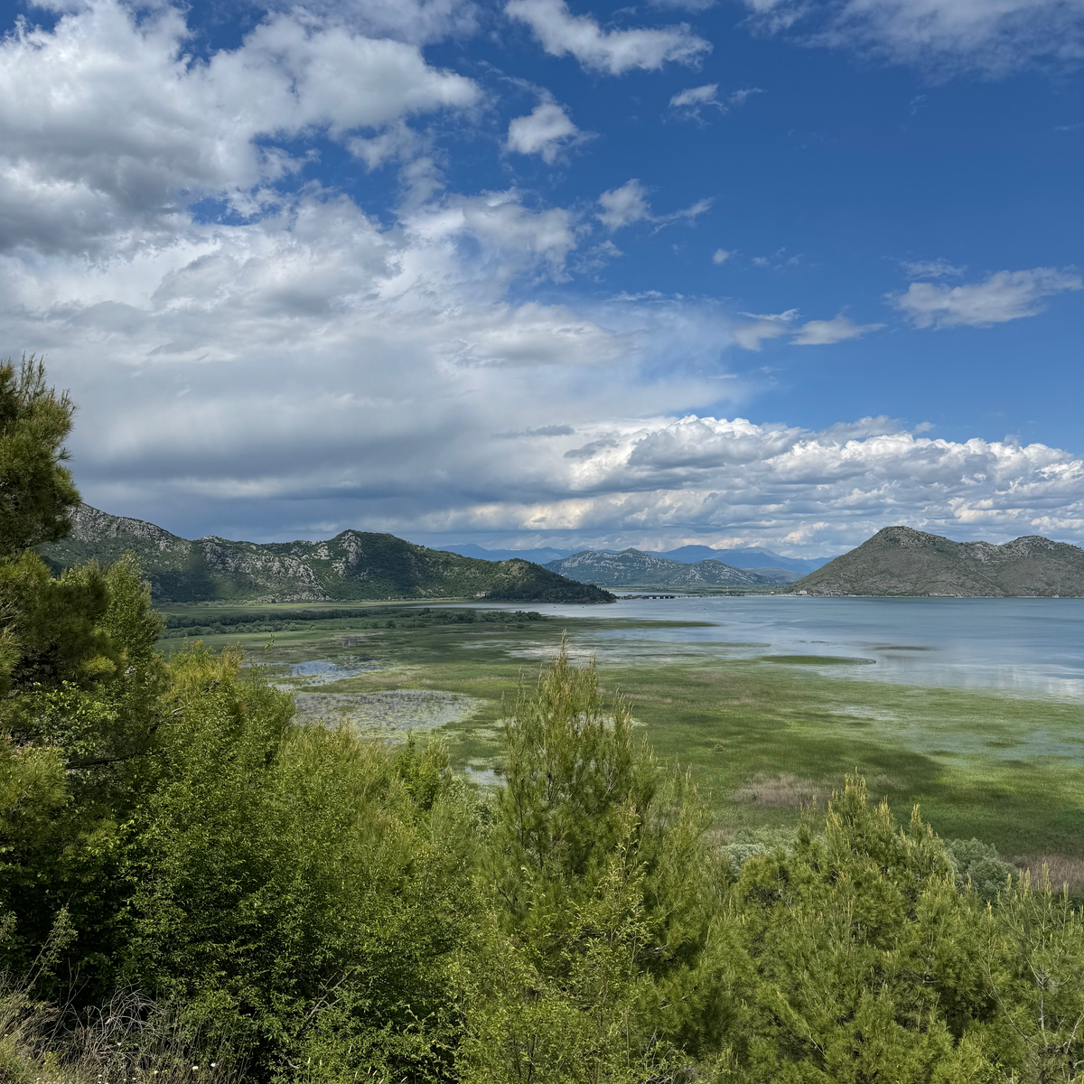 Lake Skadar