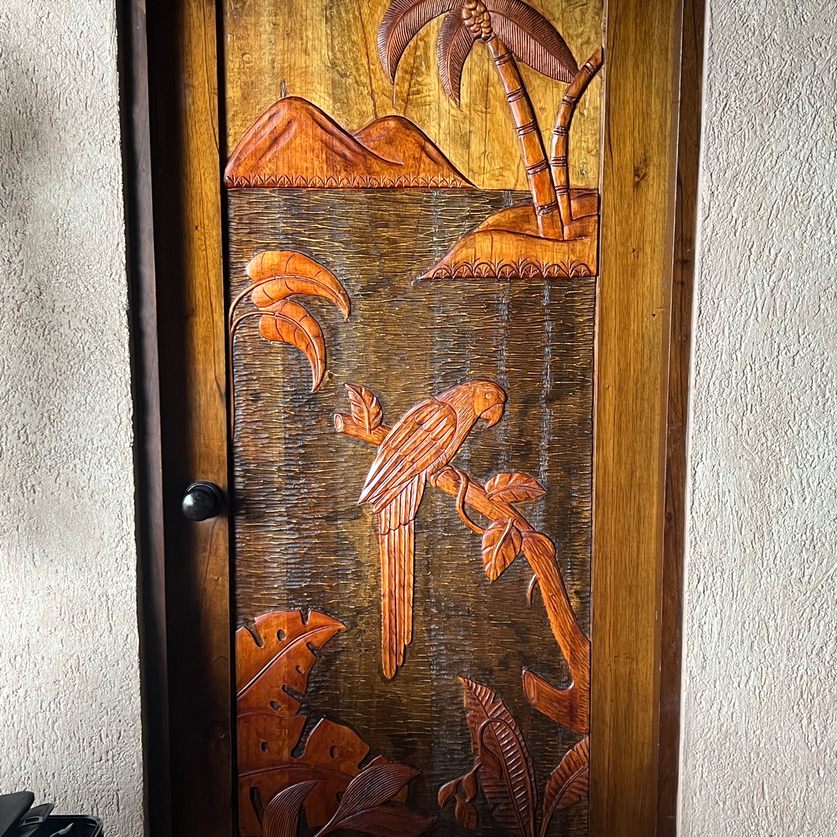 Costa rican art door