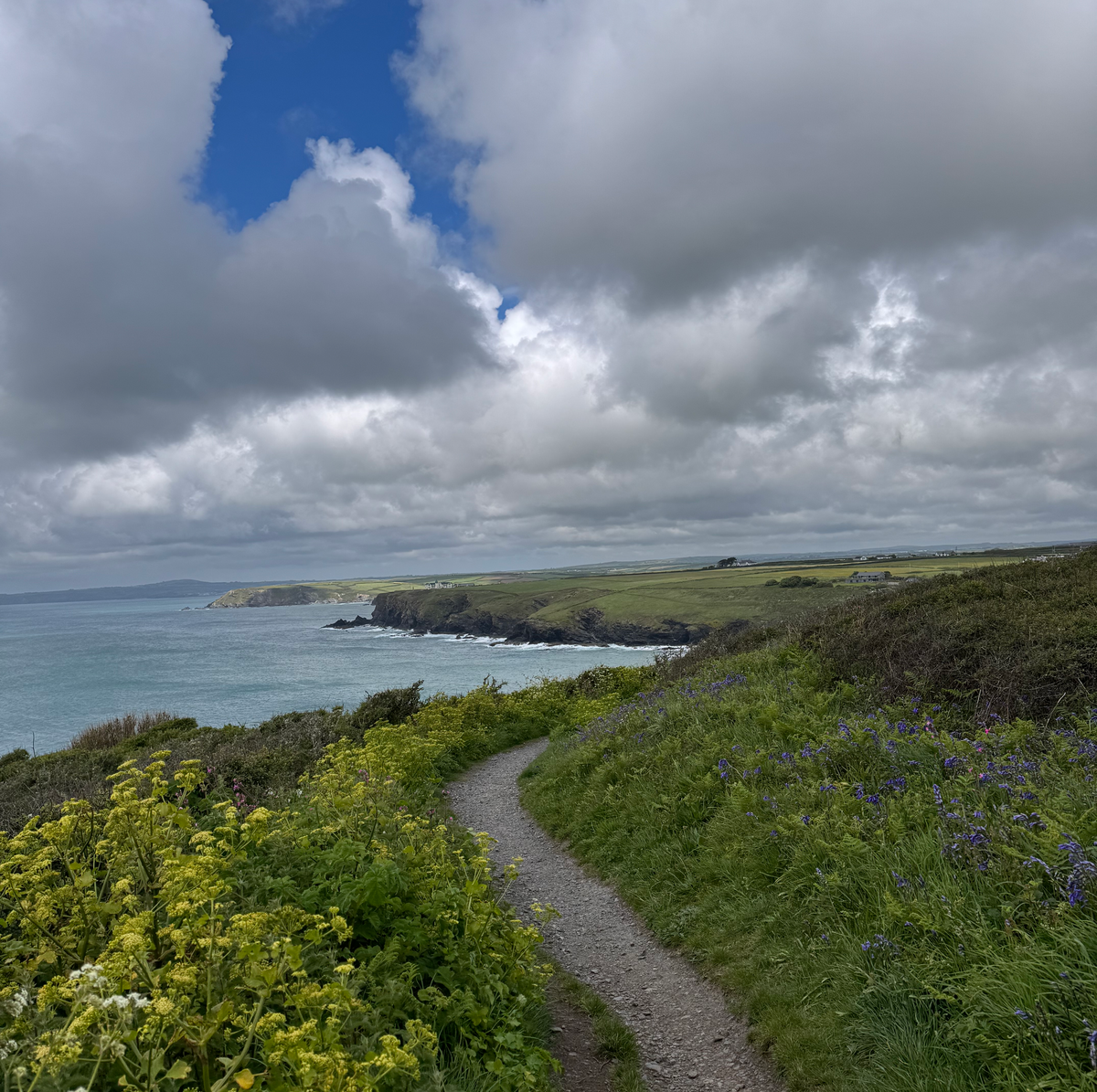 BEST THINGS TO DO IN THE LIZARD mullion cove