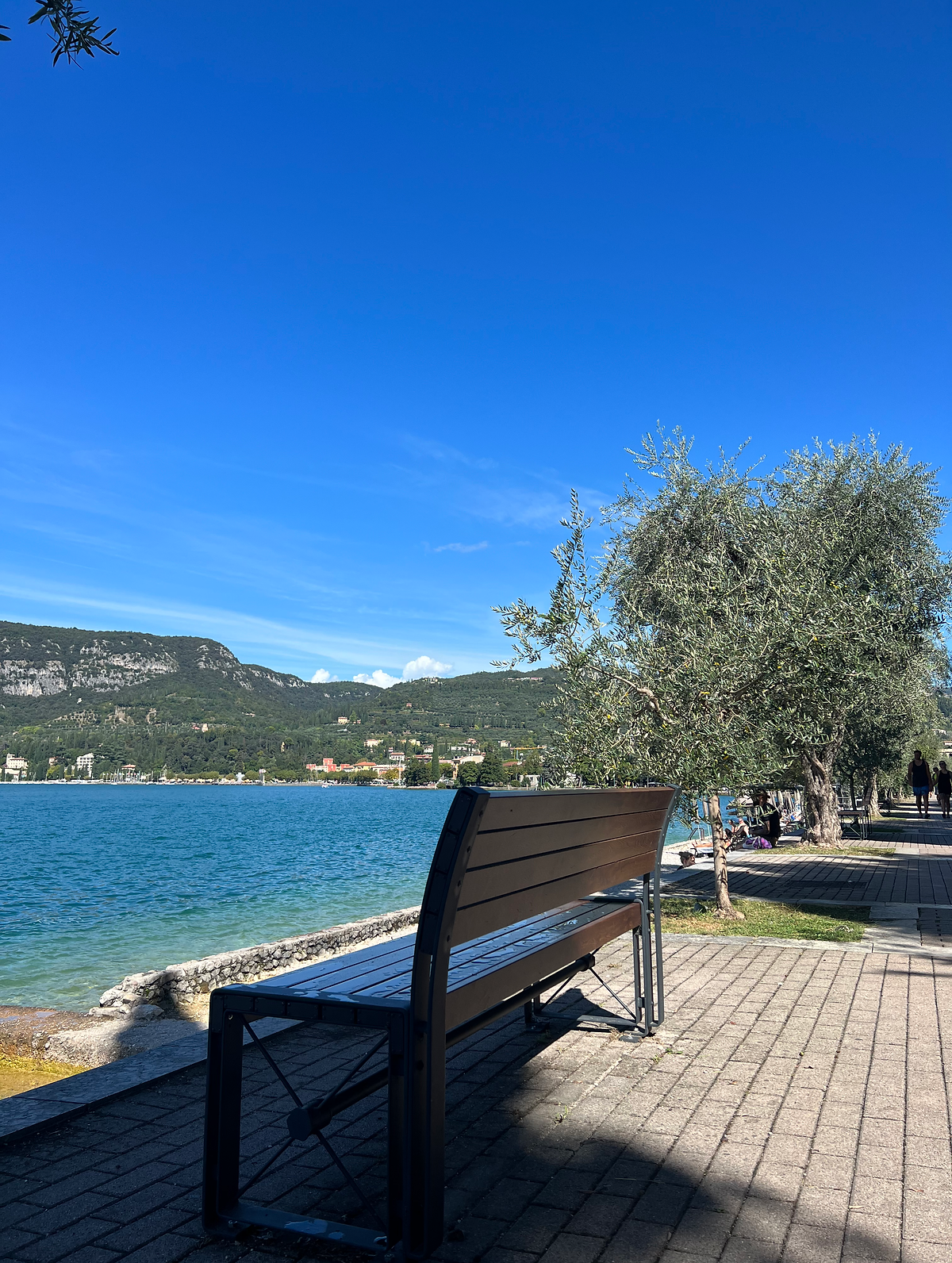 View overlooking Lake Garda from Bardolino