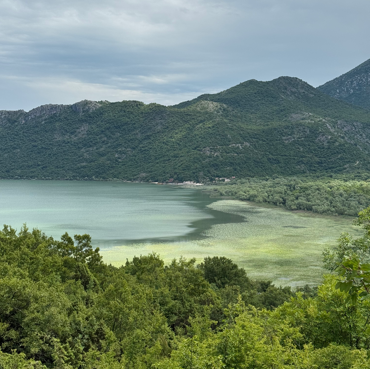 Lake Skadar