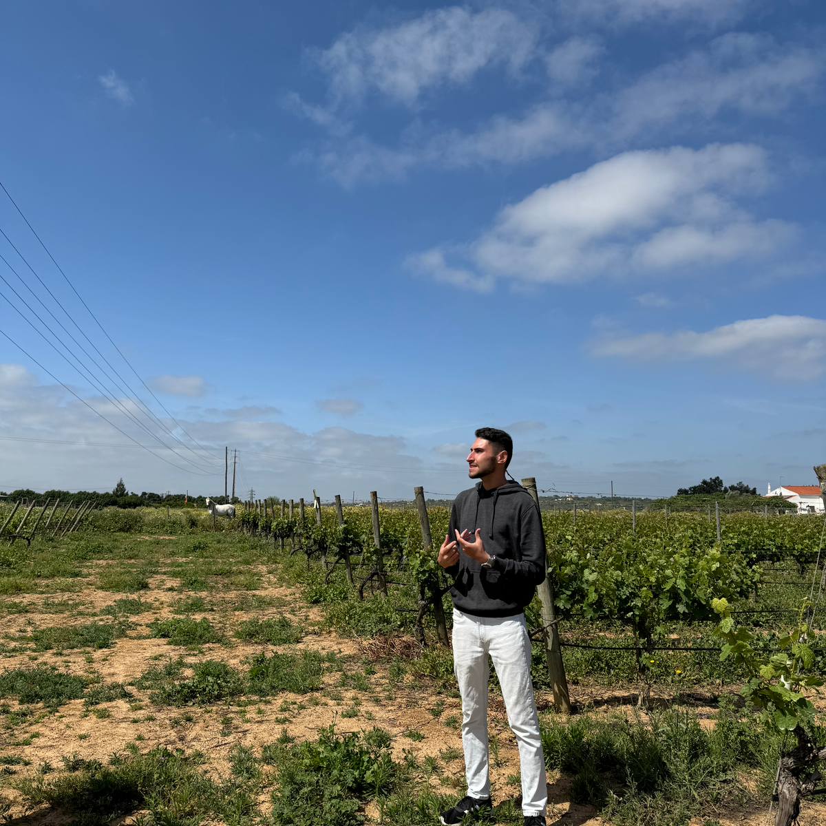Man in vineyard