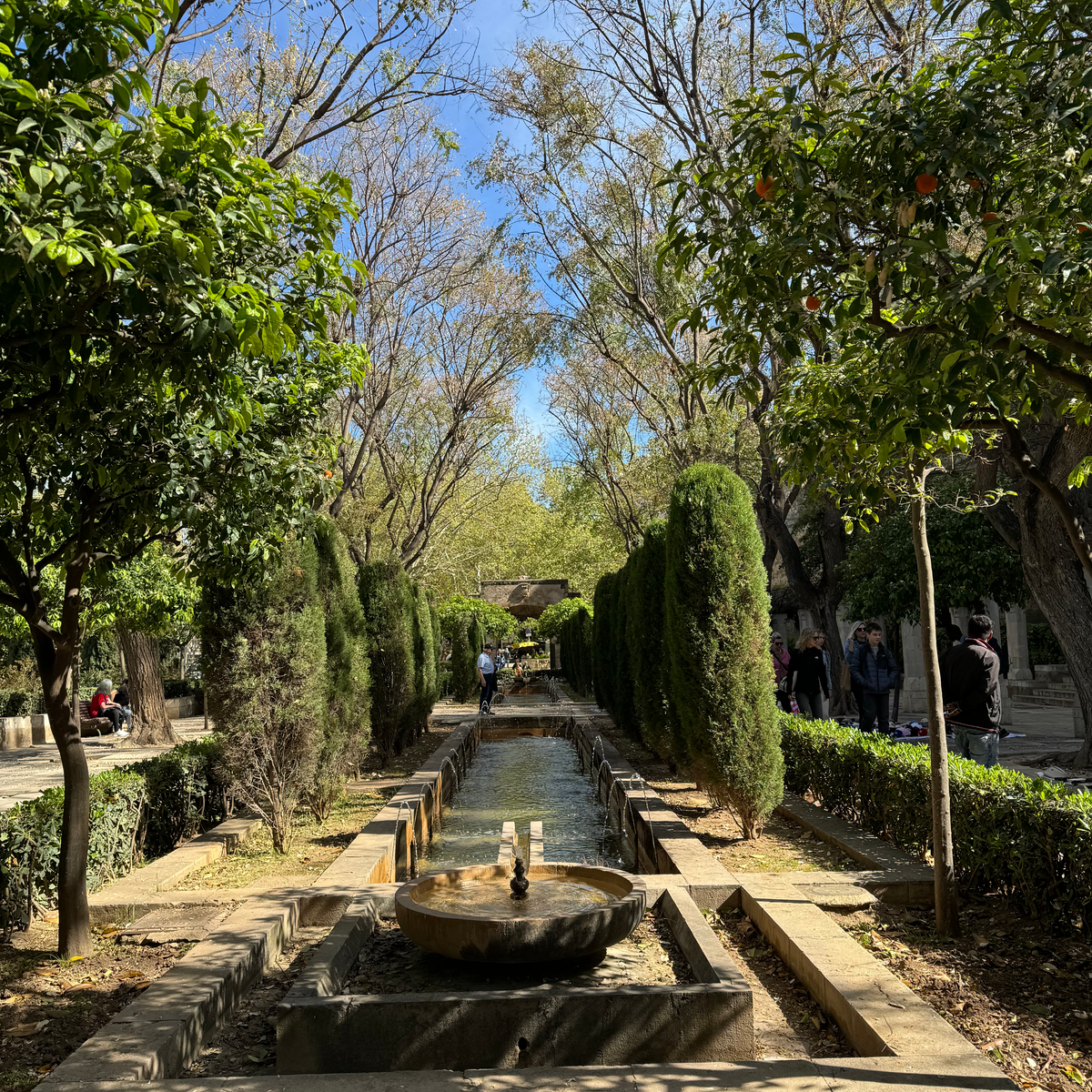 BEST THINGS TO DO IN PALMA, MALLORCA Gardens