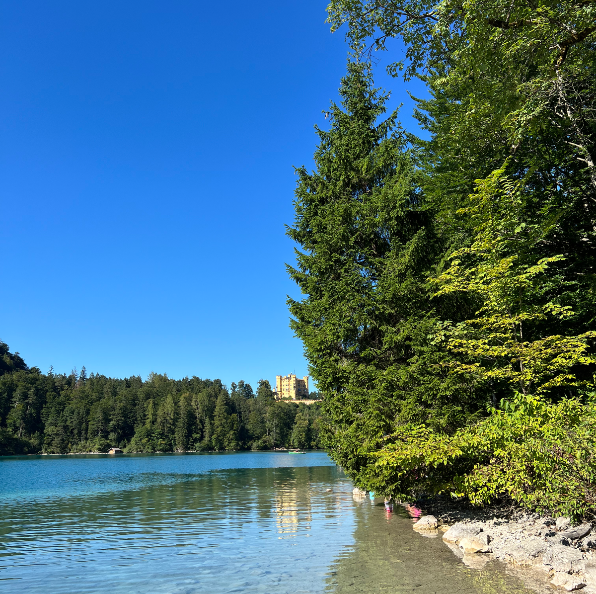 48 HOURS IN HOHENSCHWANGAU Lake Alpsee, Germany
