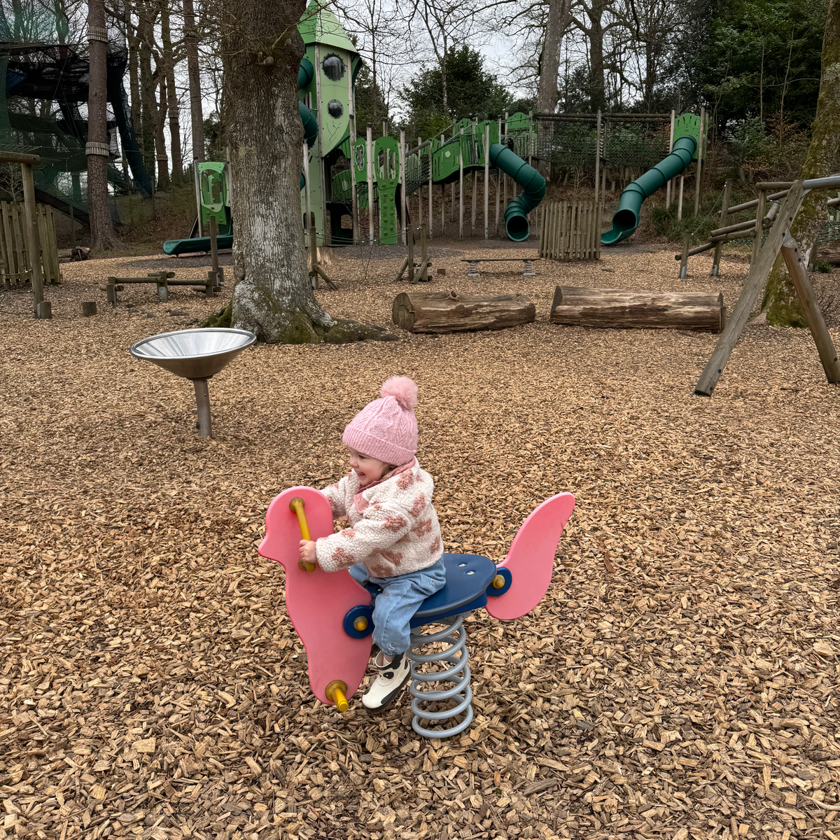 baby on ride