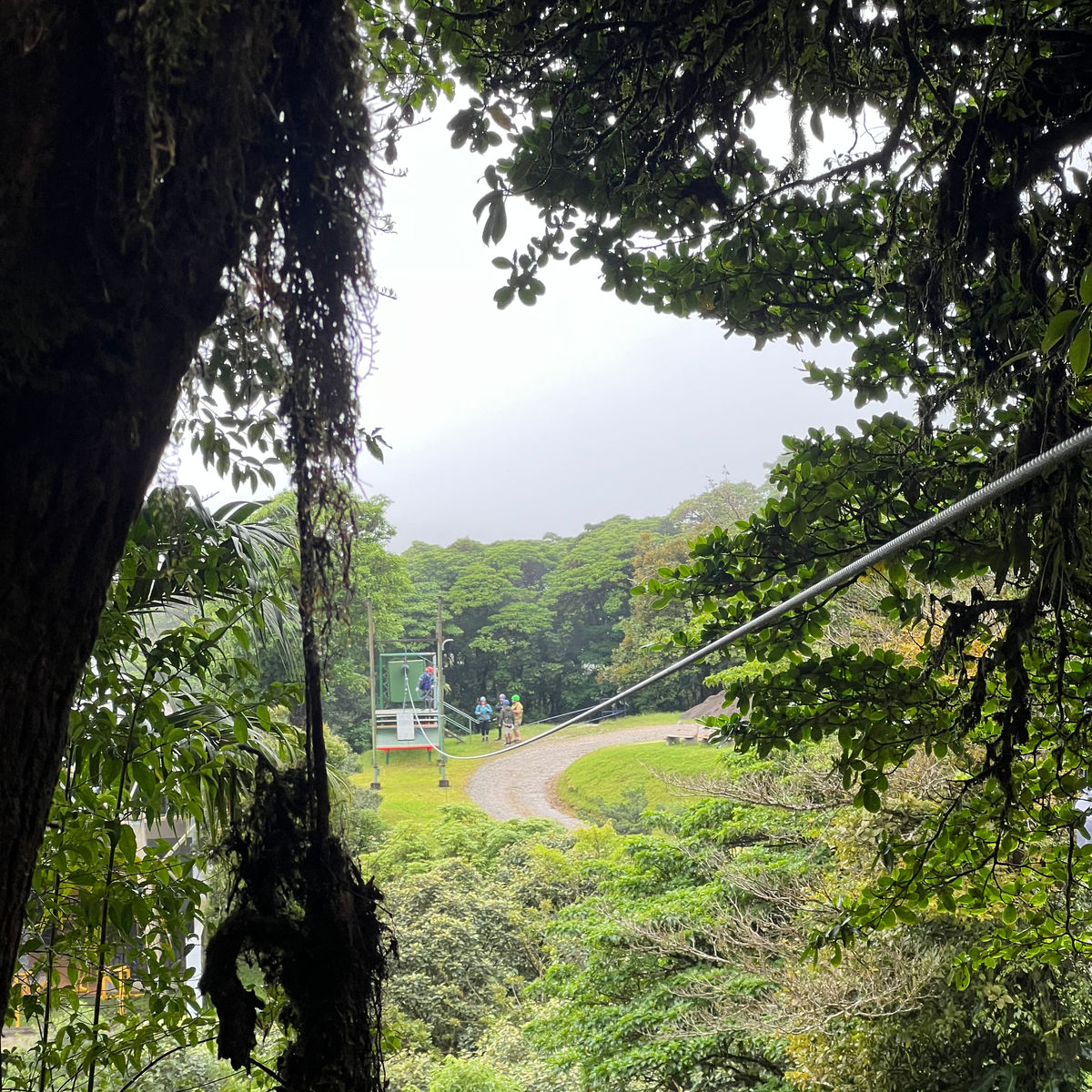 BEST THINGS TO DO IN MONTEVERDE Views cloud forest