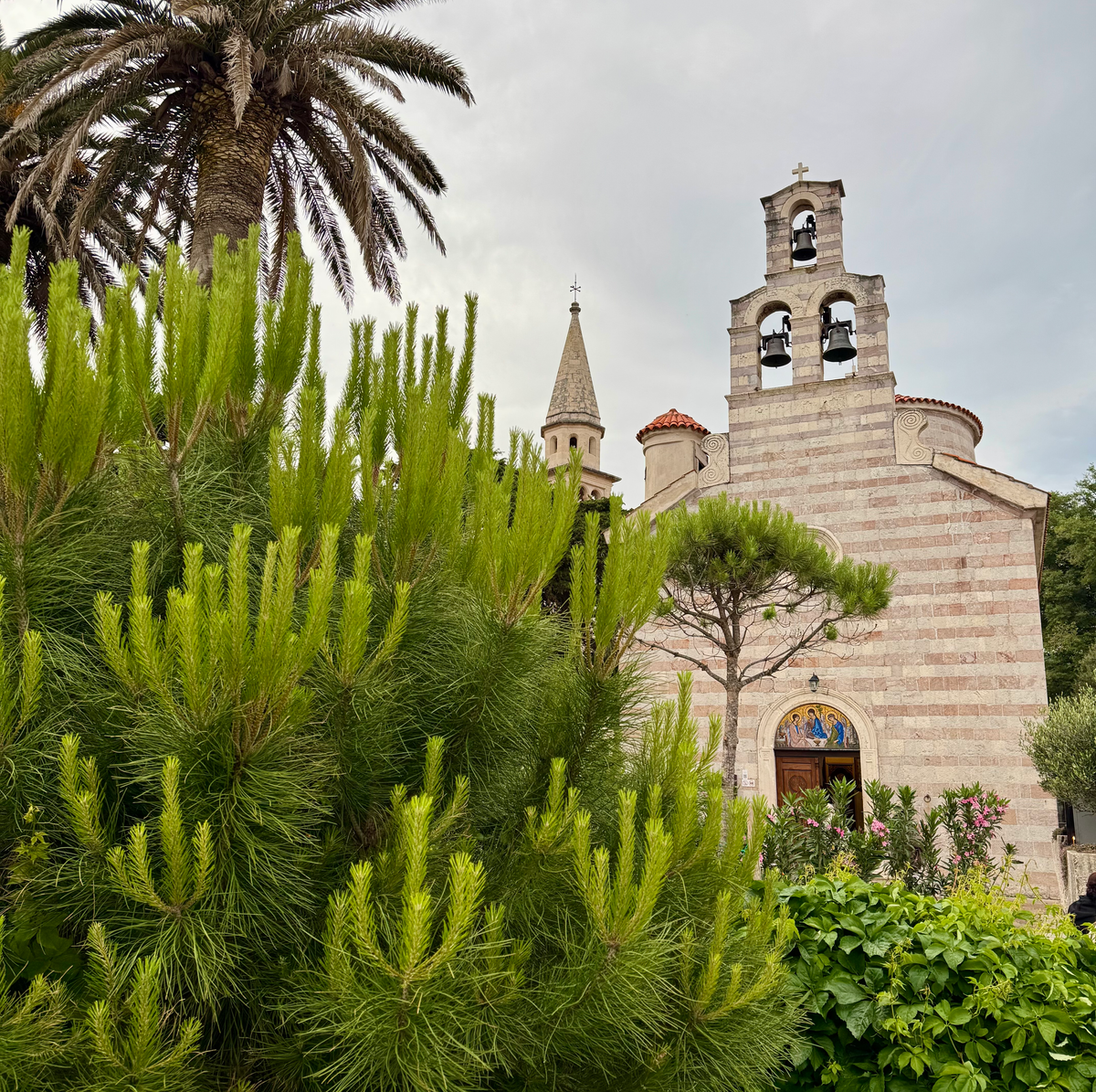 Palm trees and building