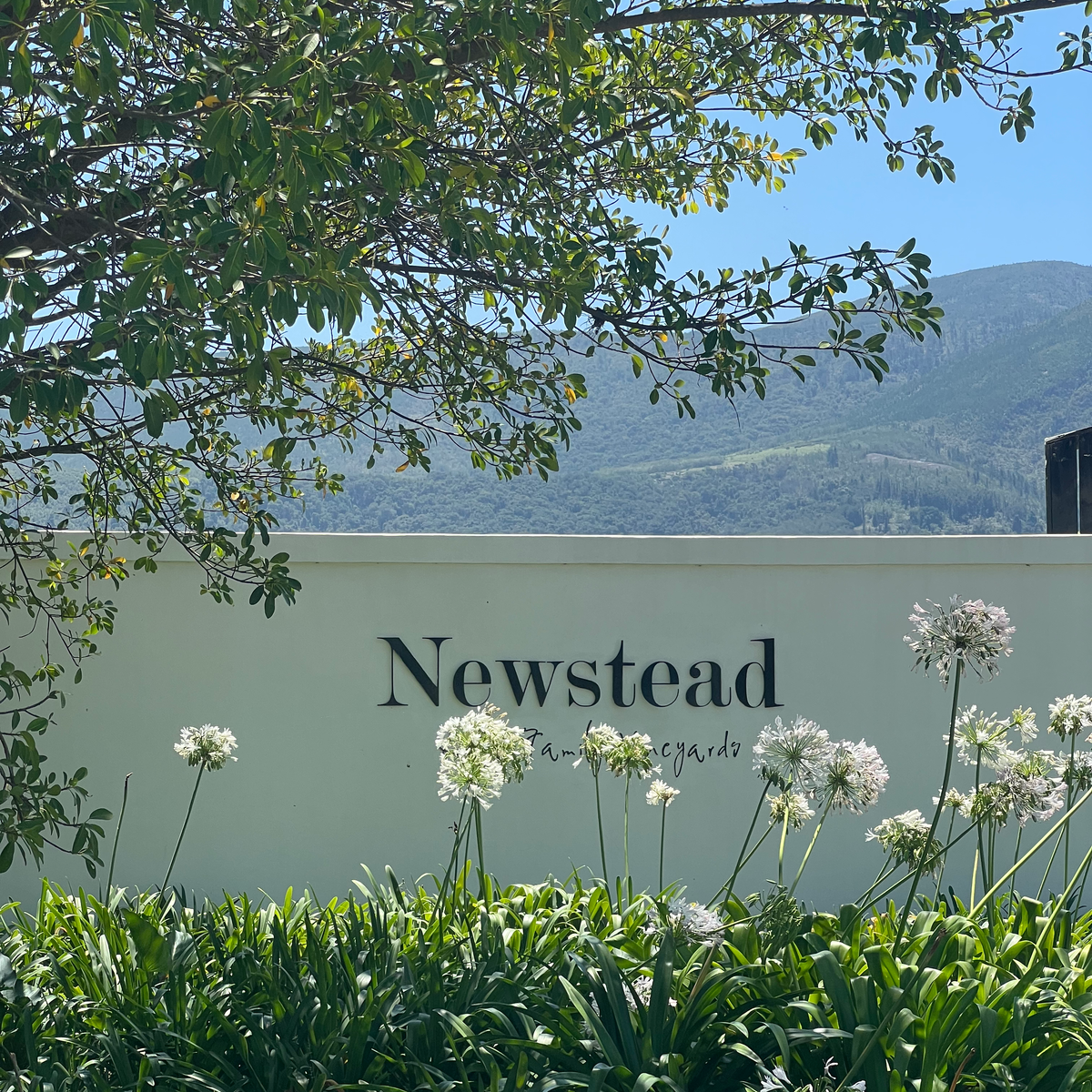 newstead winery