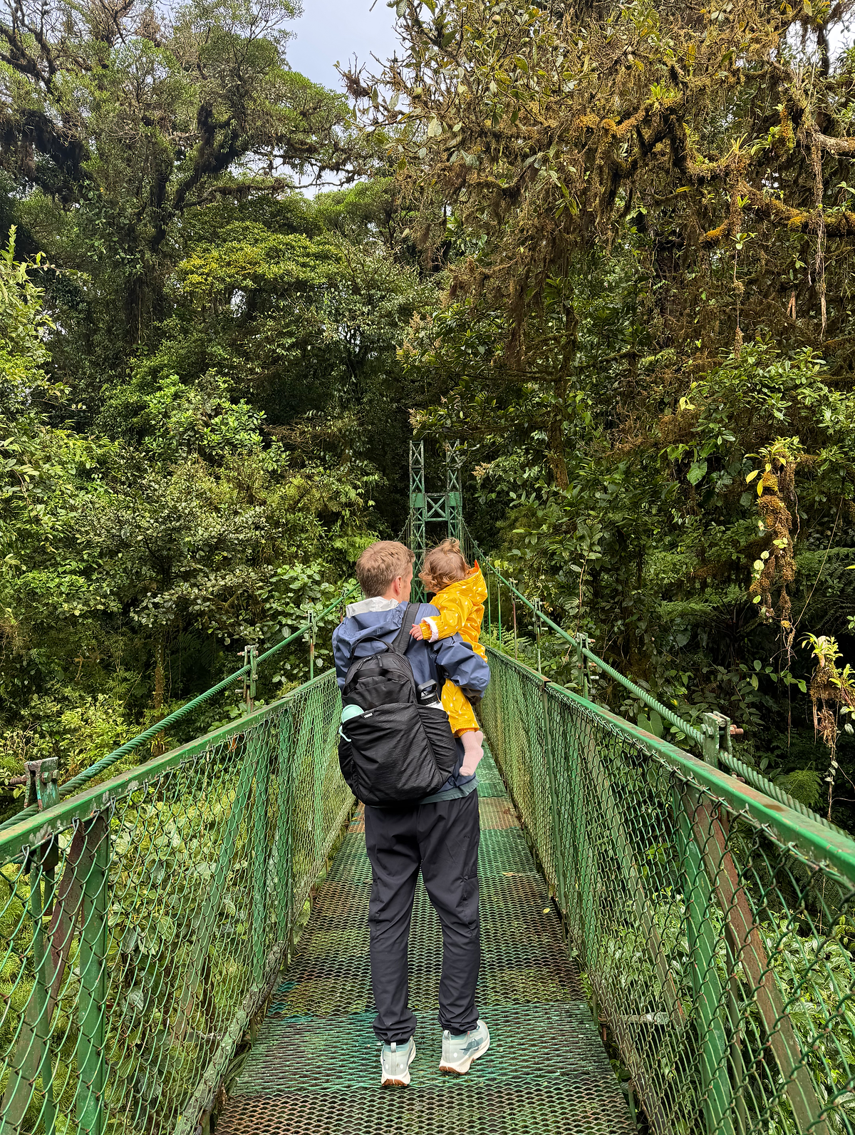 Hanging bridges